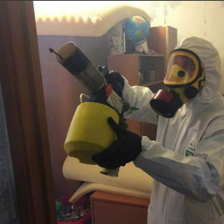 Уничтожение клопов в квартире. Райсемёновское